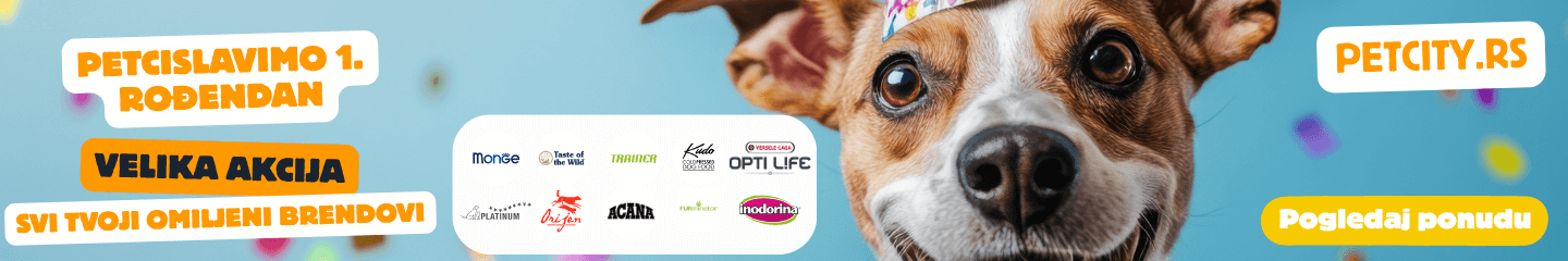 Pet City rodjendan