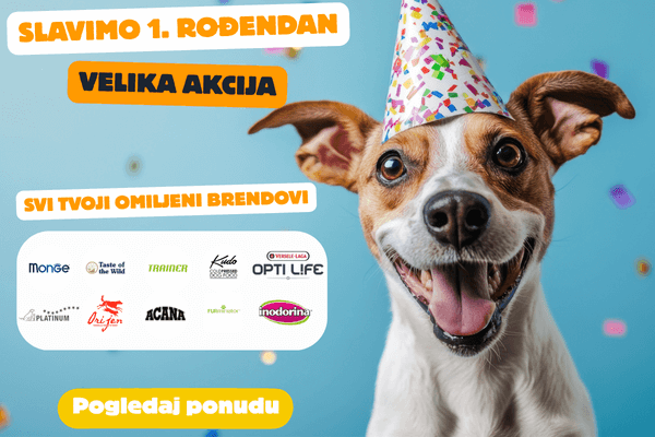 Pet City rodjendan