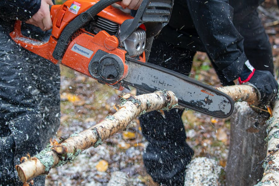 Kada i kako je najbolje pripremiti drva za ogrev?