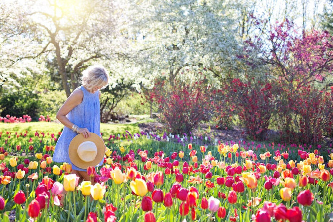 Ulepšajte svoje dvorište: Saveti za uspešno sadjenje cveća